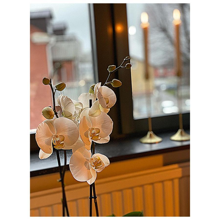 Hotell Vaerend 벡셰 외부 사진